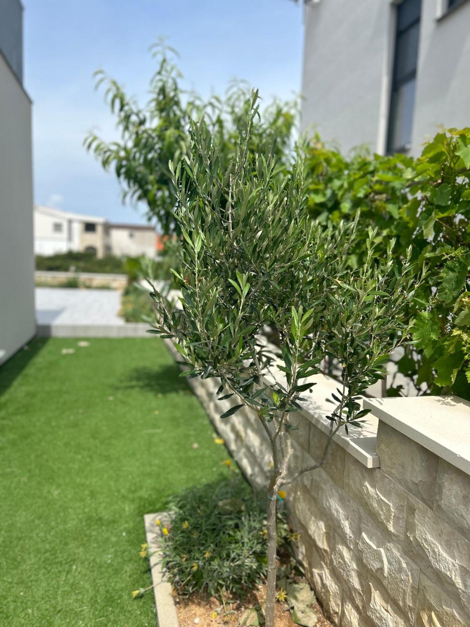 Velebit View Apartment Vir Exterior photo
